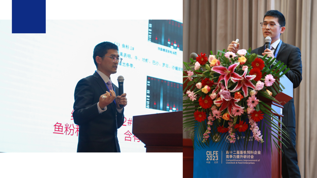 湖州新路联合水产 / 李道君博士