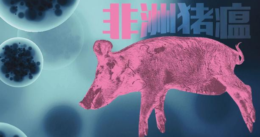 最新！俄滨海边疆区发现了2023年首列非洲猪瘟病例