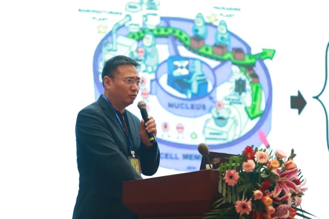 中国农业大学 / 马曦教授
