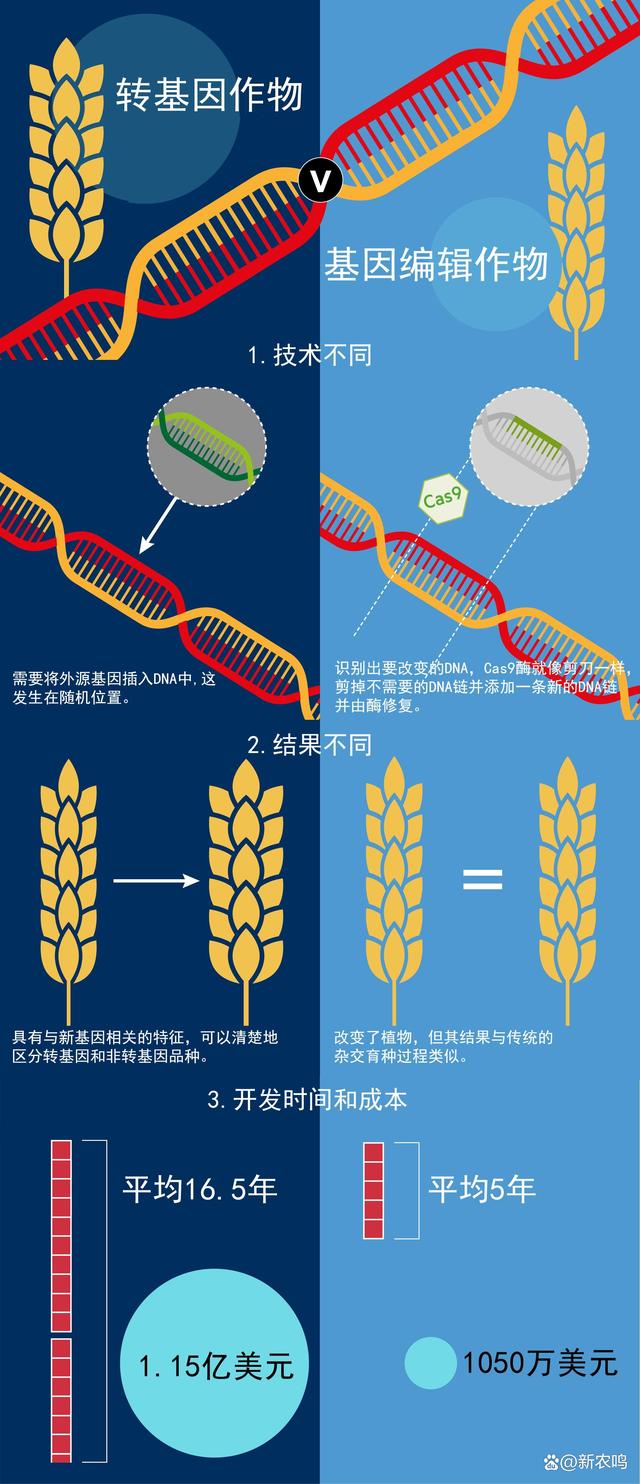 转基因作物