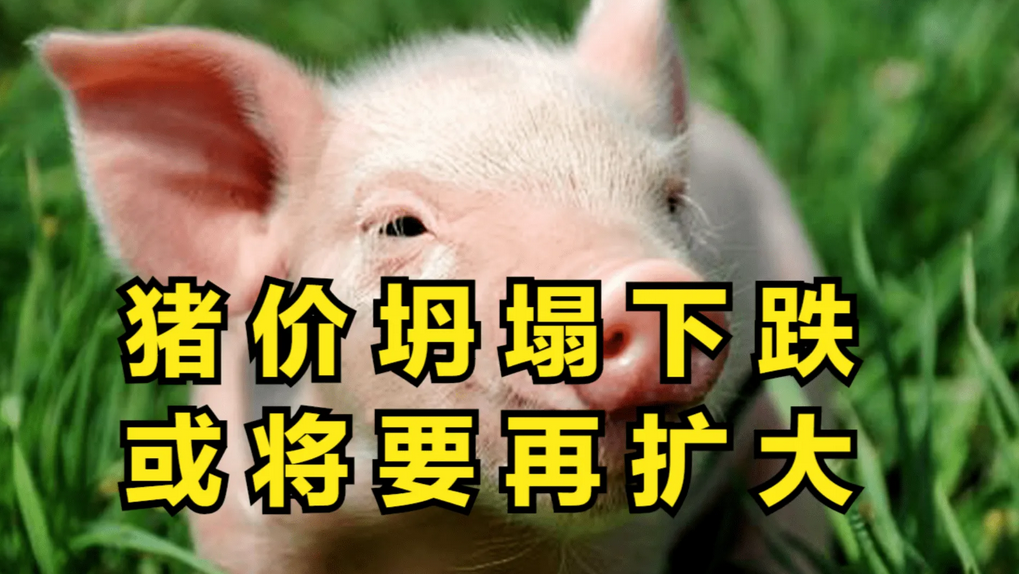3月猪价“深坑”将至！猪企产能暴涨，更危险的行情即将到来！