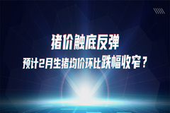 猪价触底反弹，预计2月生猪均价环比跌幅收窄？