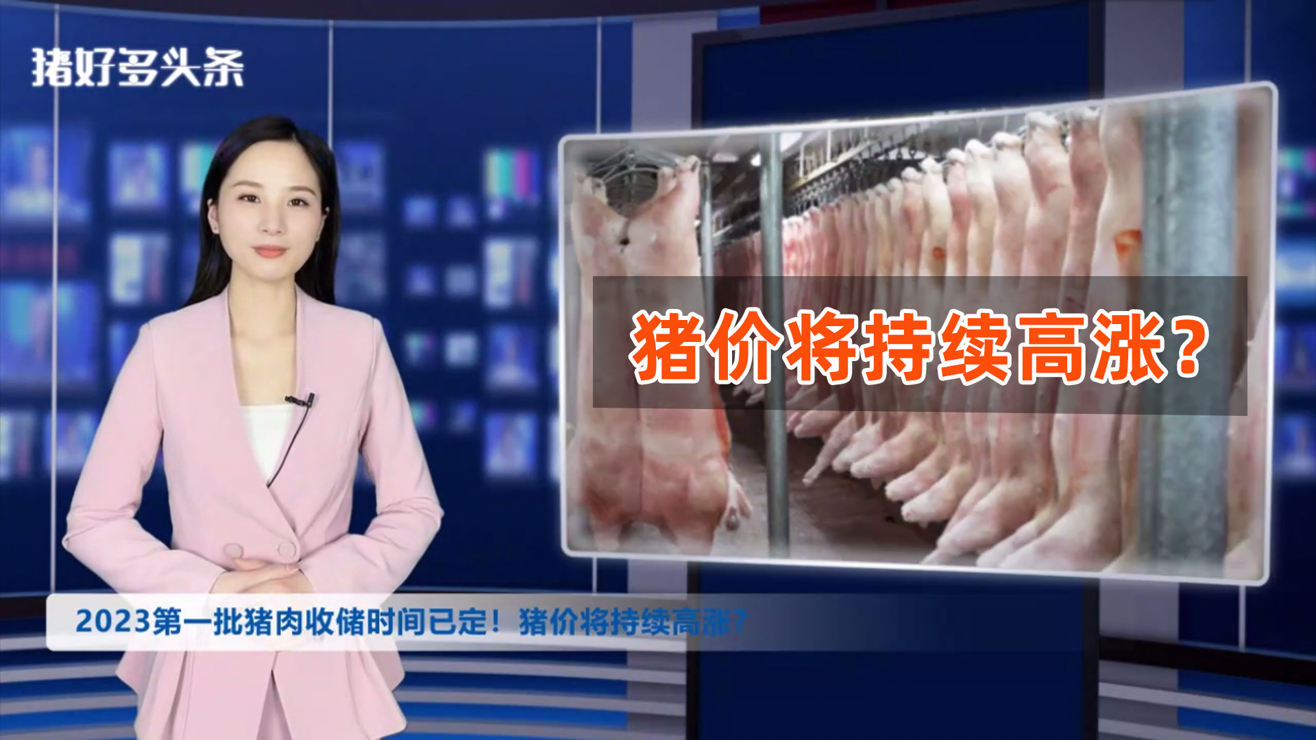 2023第一批猪肉收储时间已定！上涨情绪引爆，猪价将持续拉高？