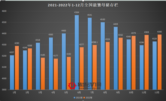 影响2023年猪价的5个因素已现，后市行情走势如何？