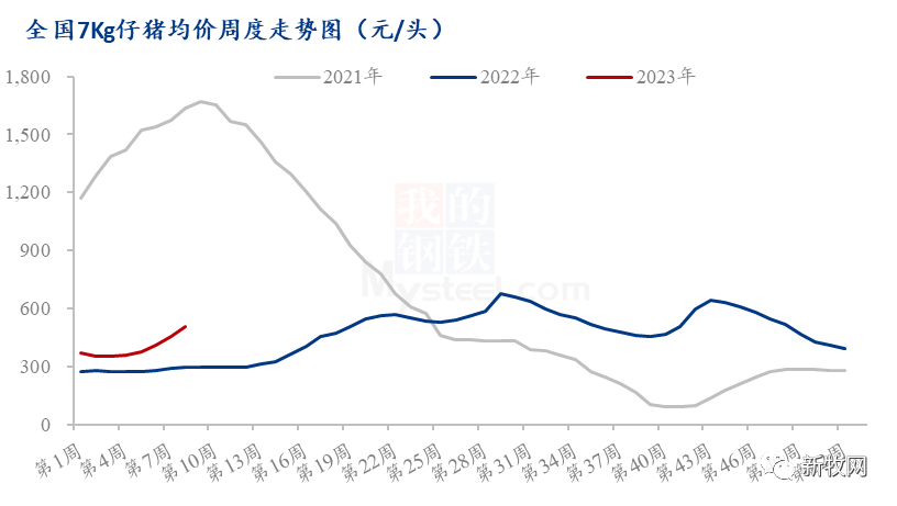 7Kg仔猪猛涨300元/头！二次育肥提前进场，上半年猪价必定上涨？