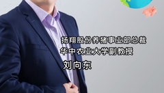 什么是养猪业的“乌卡时代”？刘向东为您解答