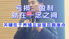 朱增勇：亏损盈利就在一念之间，关键在于养殖企业是否踏准点！