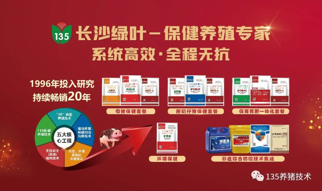 长沙绿叶