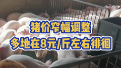 2月28日生猪价格：涨跌并存，养殖端出栏积极性不强！3月行情如何？