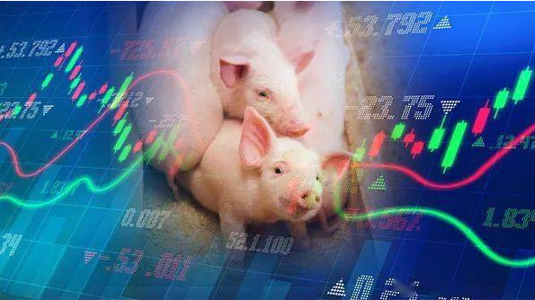生猪期价下跌超2%，生猪近端现货价格大概率已触底？