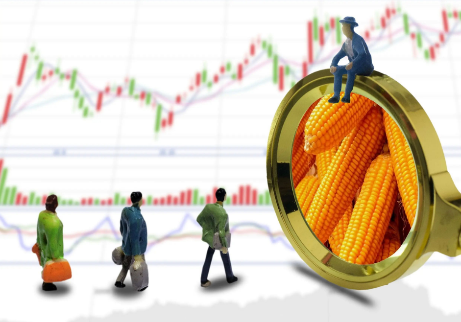 养殖业持续补栏提振需求，3月玉米价格有上涨预期？