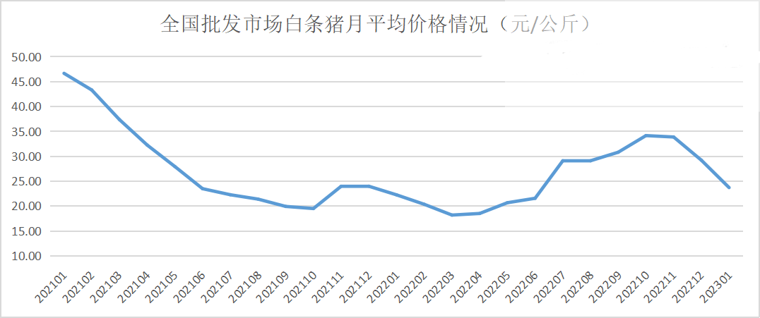 白条猪价格
