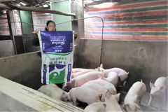 料肉比1.45：1，钱肉比4.48：1！特驱看得见的好效果让她内心欢喜