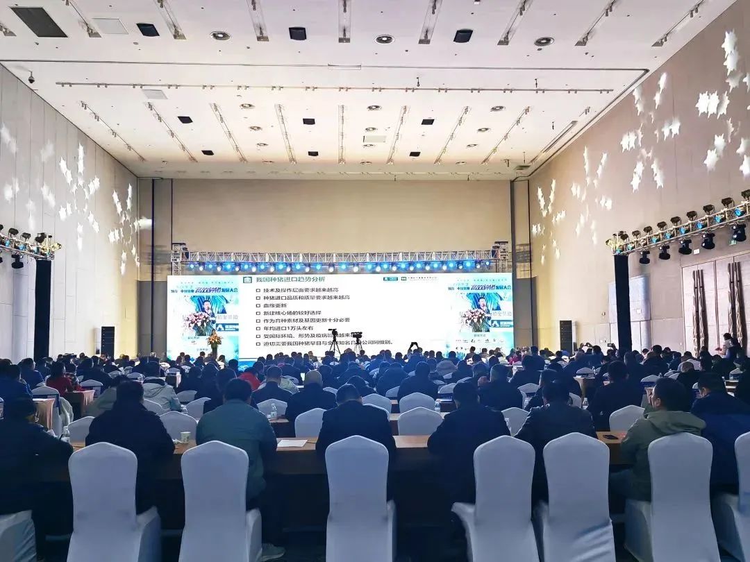 2023高效种猪发展大会