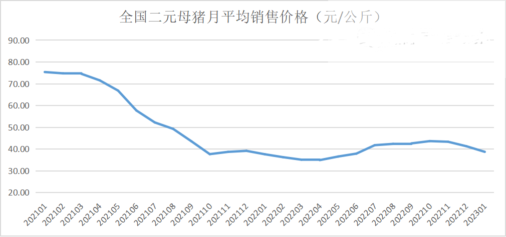 二元母猪价格