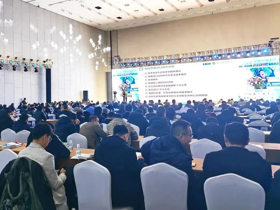 2023高效种猪发展大会