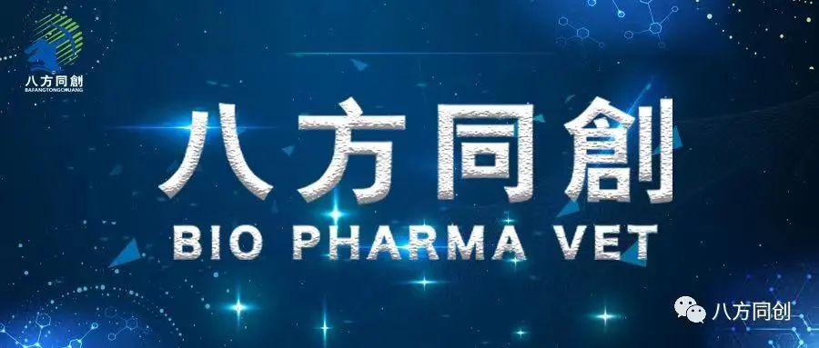 八方同创