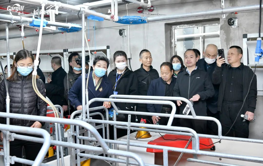 参观交流