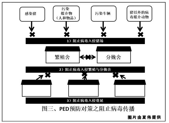 如何尽快控制猪病毒性腹泻？7个步骤值得参考！