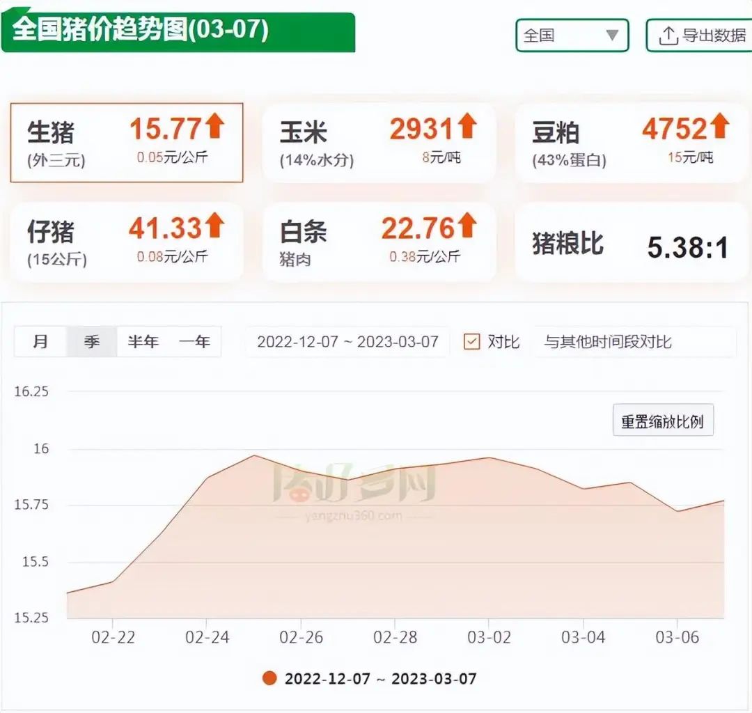 全国猪价趋势图