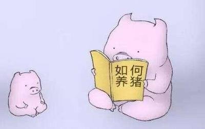 “高热病”到底是一种怎样的疾病，养猪人该如何预防？