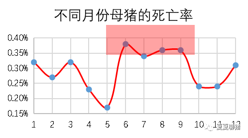 妊娠不同阶段母猪的死亡情况