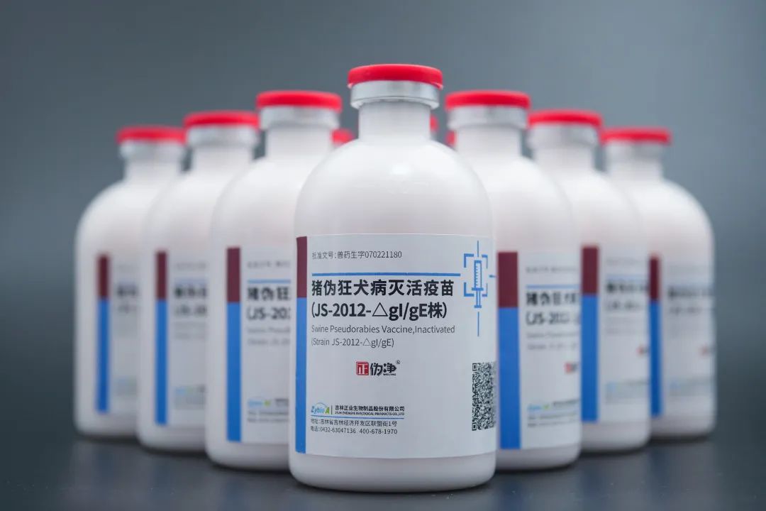 正伪净