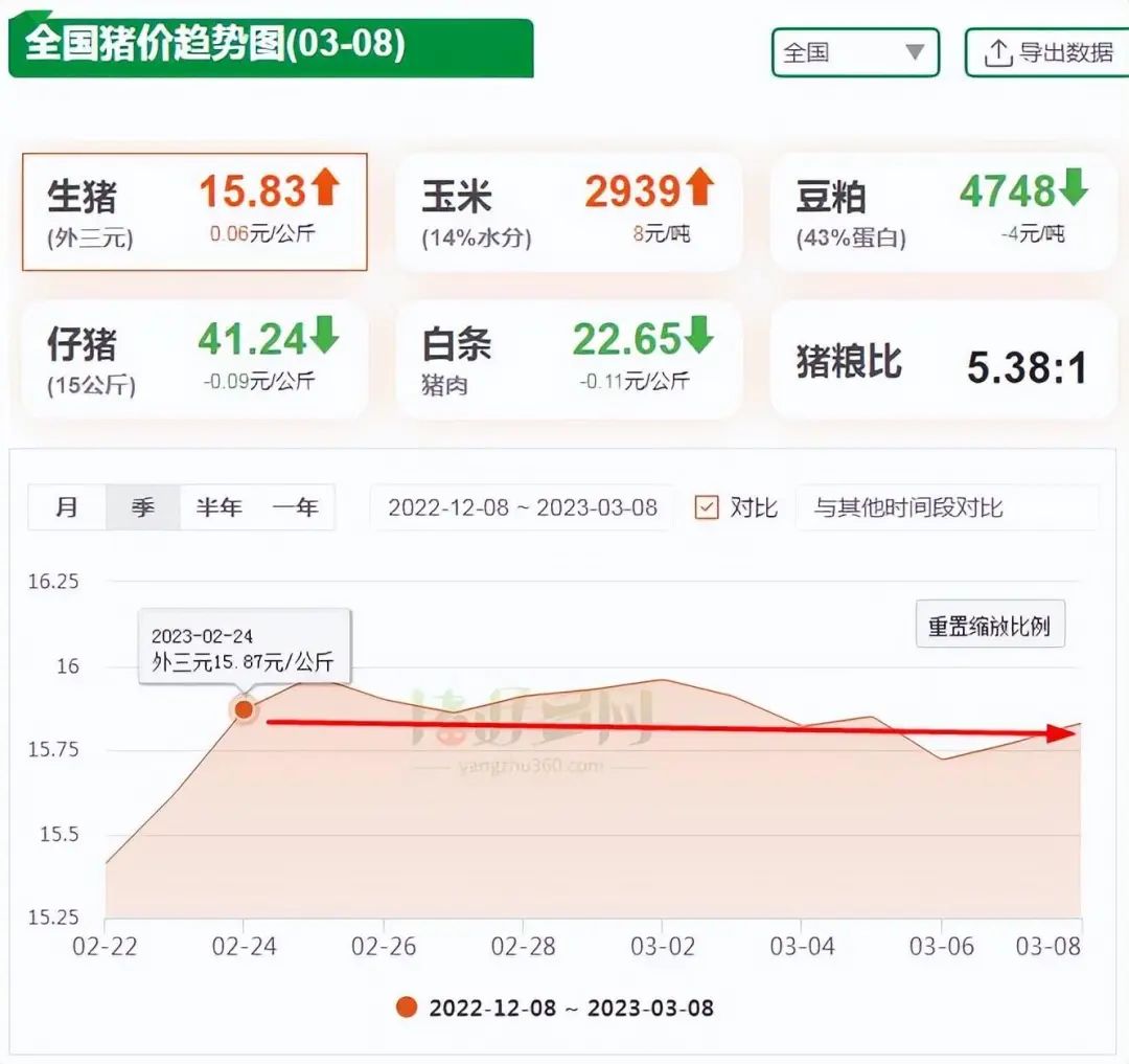 3月8日猪价趋势图