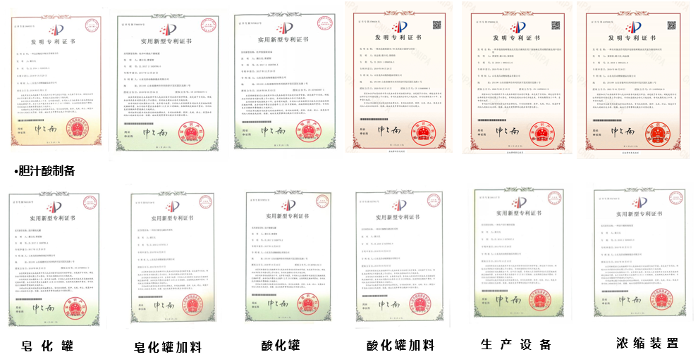 胆汁酸相关专利