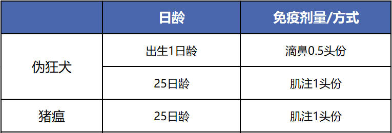 猪场猪瘟、伪狂犬育肥猪免疫程序