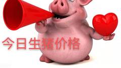 猪价缺乏上涨支撑，出现大面积飘绿，还有下行风险？