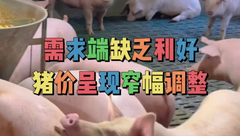 3月12日生猪价格：闹心！猪价涨跌两难，横盘阶段何时打破？