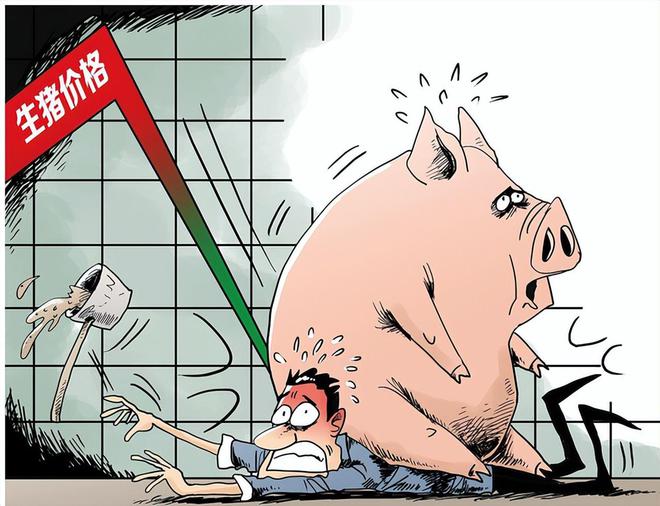 生猪价格