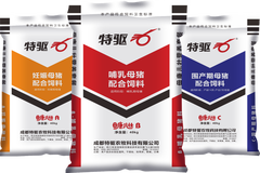 头疼！高产母猪痛点无数，该怎么办？特驱围产期新品“母康儿壮C”备受关注！