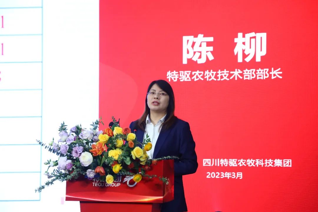 陈柳