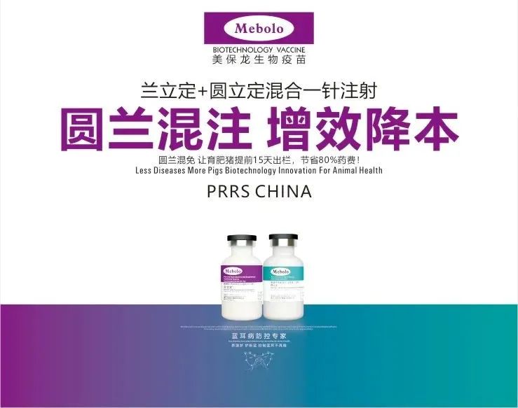 美保龙“圆兰混注”