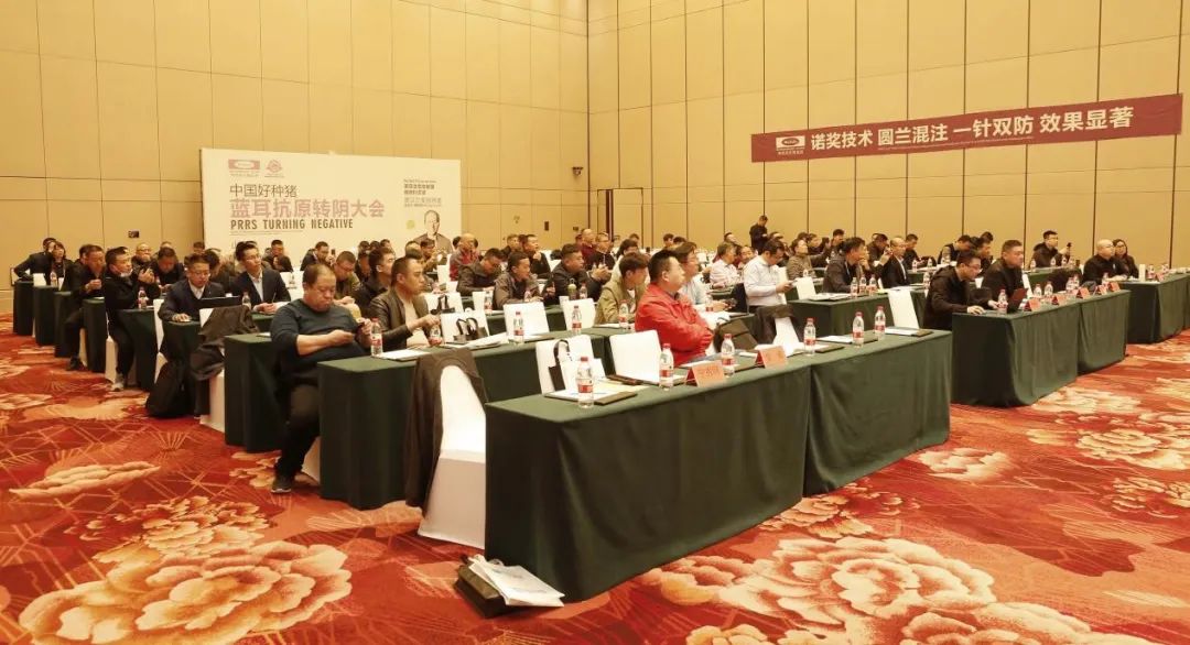 美保龙“圆兰混注”助力规模猪场增效降本分享大会