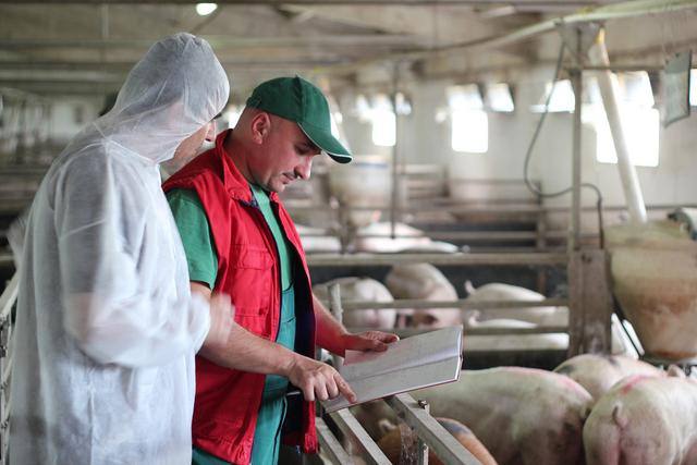 怎样做一个牛人场长？养猪企业持续发展靠什么？
