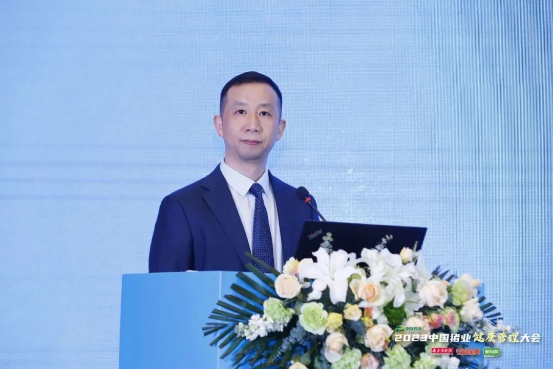 戎明虎