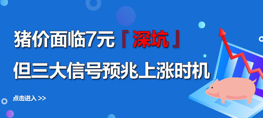 警惕！猪价面临7元“深坑”！但三大信号预兆上涨时机！