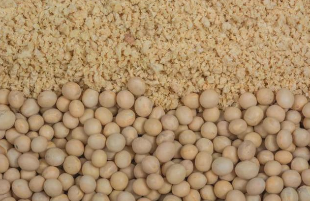 豆粕价格跌破4000元/吨，多家饲料企业宣布降价，二季度需求有望好于一季度