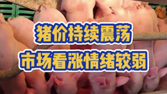 3月22日生猪价格：猪价持续震荡，市场看涨情绪较弱