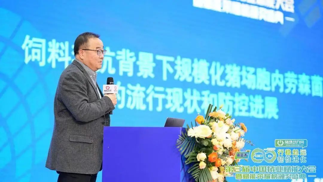 张浩吉