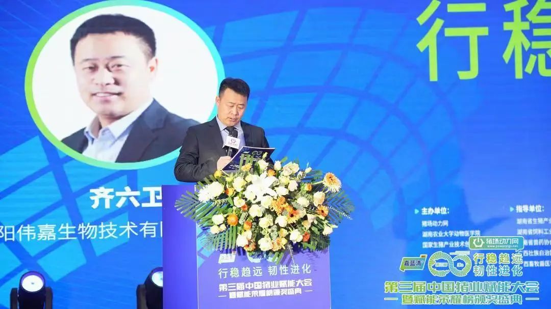 齐六卫