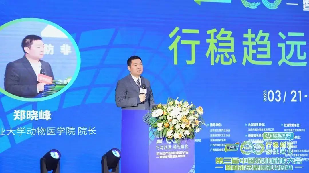 郑晓峰
