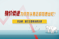 猪价低迷为何龙头猪企却加速出栏？朱增勇：猪价主要靠消费支撑