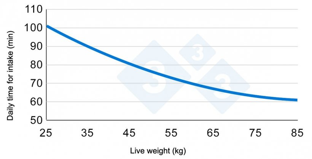 猪不同体重采食时间的变化