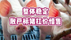 3月29日生猪价格：整体稳定，散户标猪扛价惜售，猪价进入涨跌调整阶段！