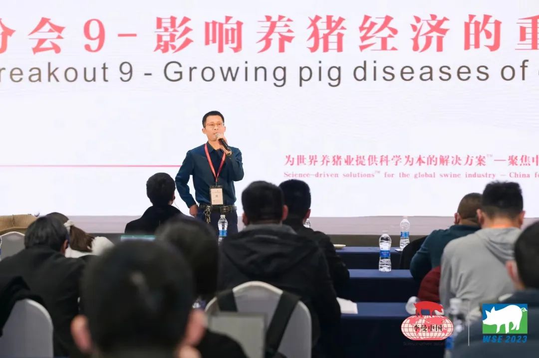 李曼养猪大会听课笔记 | 分会9-影响养猪经济的重要生长猪疾病