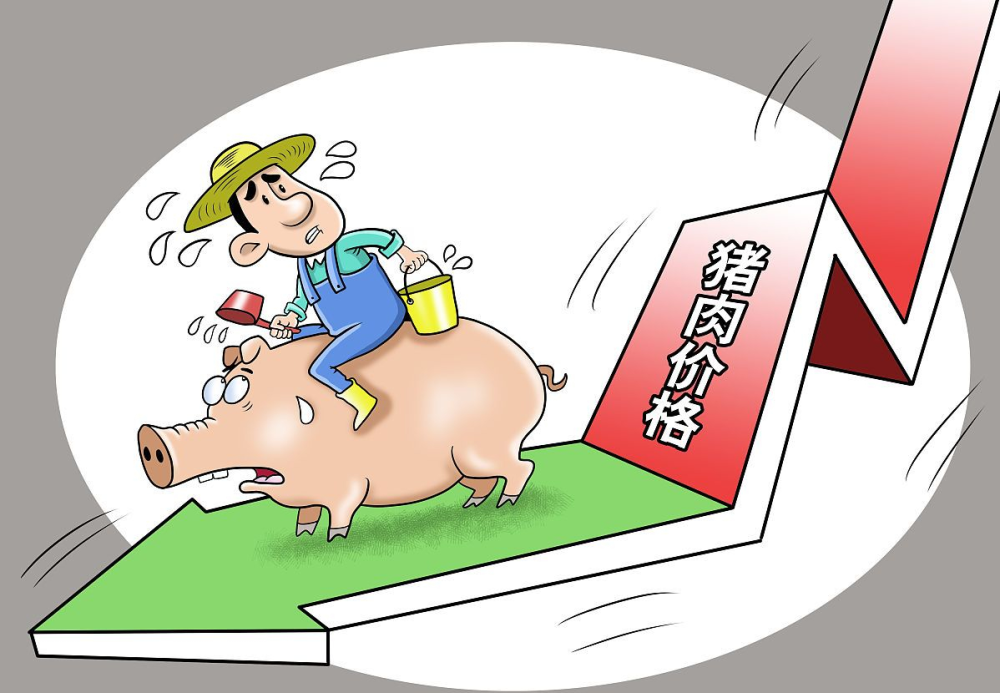 猪肉价格下跌